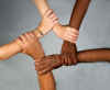 diversity.jpg (541872 Byte)